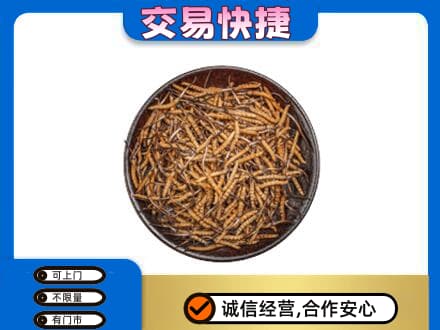 黔西南高价回收散虫草